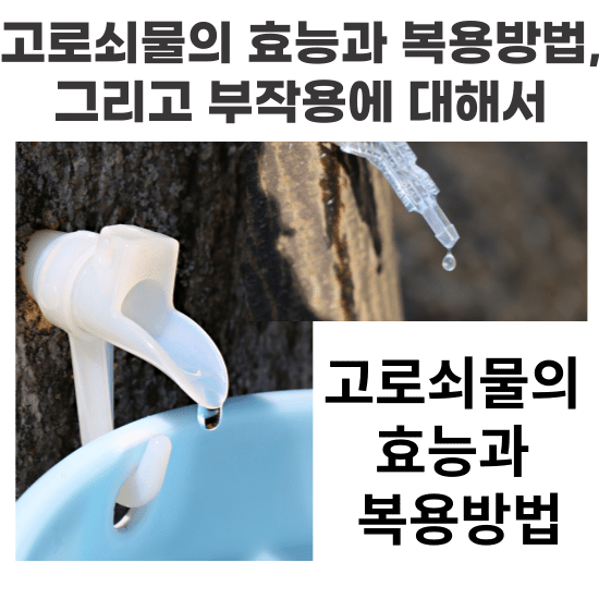 자연의 선물, 고로쇠물. 이 단어를 들으면 어떤 생각이 드시나요? 아마도 많은 분들이 그 달콤한 맛과 건강에 좋은 성분을 떠올리실 것입니다. 하지만 고로쇠물이 단순히 맛있는 음료가 아니라, 우리 몸과 건강에 깊은 영향을 미치는 놀라운 성분이라는 사실, 알고 계셨나요? 지금부터 고로쇠물에 대해 알아보겠습니다.