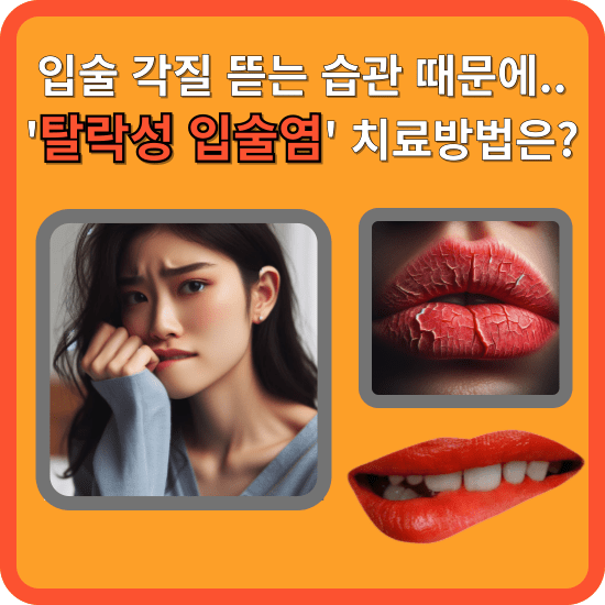 안녕하세요 독자님! 밤낮의 일교차가 큰데 건강은 괜찮으신가요? 오늘은 주제는 건강 관련 기사를 보던 중 저도 한참 동안 이 습관 때문에 한참 고생하고 난 후에야 습관을 고수 있었는데요, 저 같은 경우는 초조하거나 스트레스받으면 이 행동을 하더라고요 그것은 입술에 난 각질을 뜯는 행위인데요, 독자님은 이 행위가 단순한 습관이라고 생각하셨나요? 그 작은 습관이 탈락성 입술염으로 이어질 수 있다는 사실, 알고 계셨나요? 이 질환에 대해 자세히 알아보는 시간을 가져 볼까 합니다.