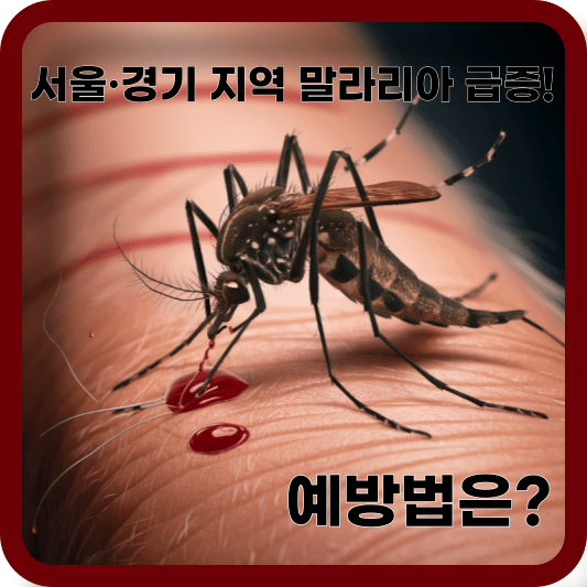 최근 서울과 경기 지역에서 말라리아 환자가 급증하고 있습니다. 말라리아는 모기를 통해 전파되는 질병으로, 방치하면 심각한 합병증을 초래할 수 있습니다. 여러분의 건강과 안전을 위해 지금이야말로 말라리아에 대한 경각심을 가져야 할 때입니다. 이번 글에서는 말라리아의 증상과 예방법을 중심으로 여러분께 실질적인 도움을 드리고자 지금 바로 할 수 있는 예방법에 대해서 알아봤습니다.