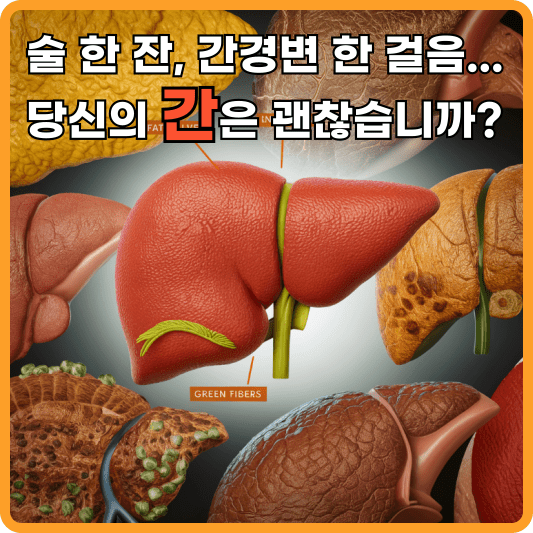 "술 한 잔, 간경변 한 걸음"이라는 말, 한 번쯤 들어보셨죠? 단순한 속설이 아닙니다. 과도한 음주는 우리 몸의 가장 중요한 해독기관인 간에 치명적인 손상을 입혀, 심각한 질병으로 이어질 수 있습니다. 특히 알코올성 간경변증은 한번 발생하면 회복이 어렵고, 다양한 합병증을 유발하여 생명까지 위협할 수 있는 무서운 질환입니다. 최근 사회생활에서 음주가 일상화되면서 알코올성 간질환 환자가 급증하고 있습니다. 특히 젊은 층에서도 음주로 인한 간 손상이 심각한 문제로 대두되고 있습니다. 간 건강을 소홀히 하면 단순히 피로감이나 소화불량에 그치는 것이 아니라, 간경변증, 간암 등 치명적인 질환으로 이어질 수 있다는 사실을 명심해야 합니다. 이 글에서는 알코올성 간경변증의 원인, 증상, 합병증, 예방법 등에 대해 자세히 알아보고, 건강한 간을 유지하기 위해 우리가 어떤 노력을 해야 하는지 함께 살펴보겠습니다.