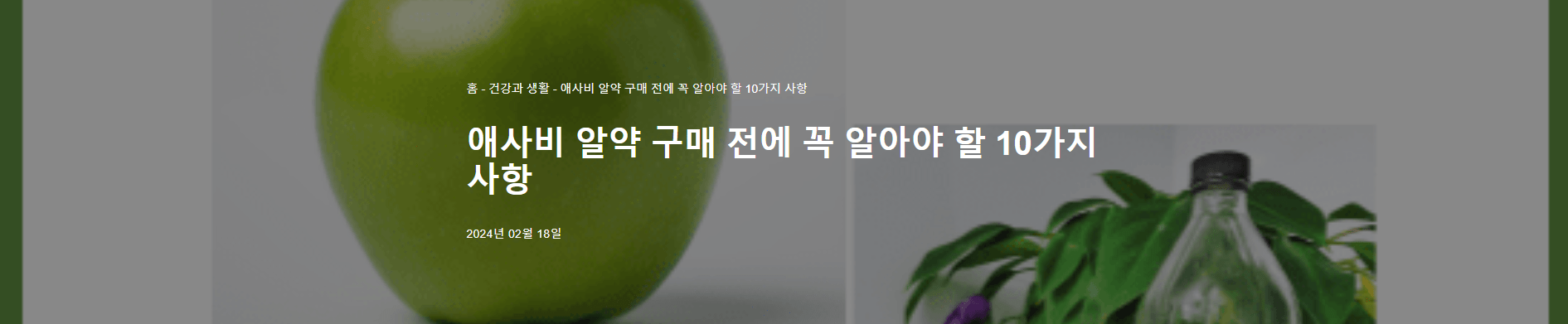 애사비 알약 구매시 팁