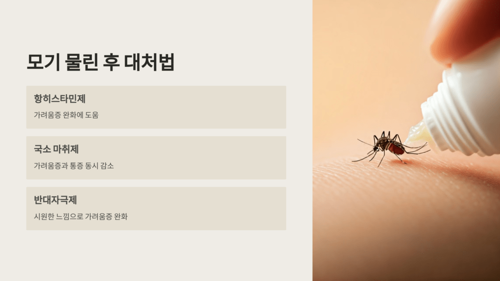 모기 물린 후 대처법